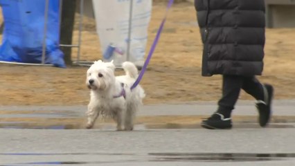 [날씨] 구름 많고 가끔 빗방울...내일 동해안 비·눈 / YTN