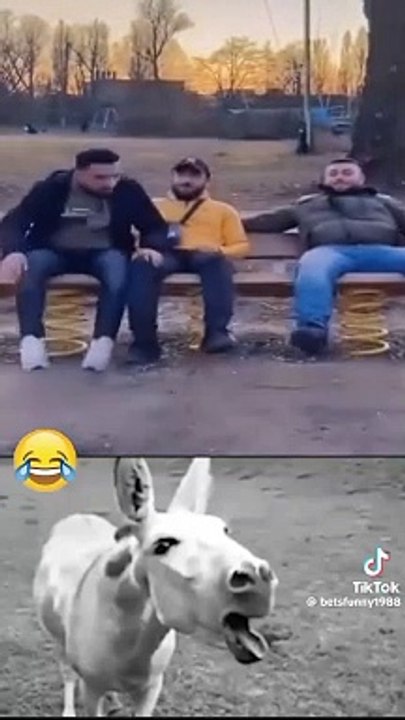 cool bench