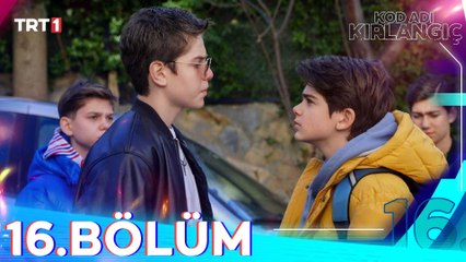 Kod Adı Kırlangıç 16. Bölüm