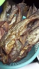Gulai ikan salai kesukaan adek sakhi