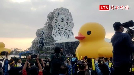 黃色小鴨再見！雙鴨合體愛河灣最終巡禮 30天吸逾900萬人朝聖