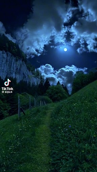 #11 night