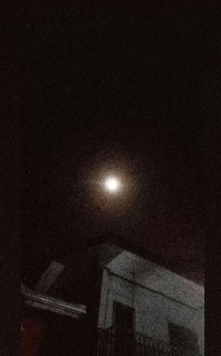 moonlight 