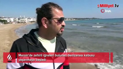 Sahilde şaşırtan manzara! 'İnşallah bir şeyin habercisi değildir'