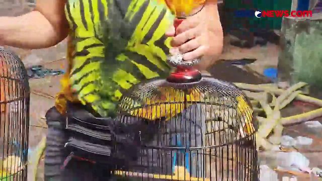 Kontrakan 10 Pintu di Tanjung Duren, Jakarta Barat Hangus Terbakar