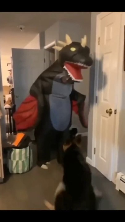 crazy animals from internet pt.6