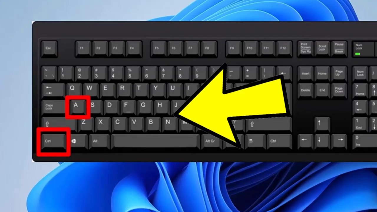 How to Fix (Ctrl A ) , (Ctrl C) and (Ctrl V) Not Working in Windows 11 / 10 video Dailymotion