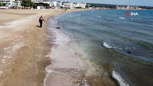 Akdeniz kıyılarını denizanaları bastı: Kızkalesi sahiline yüzlercesi vurdu