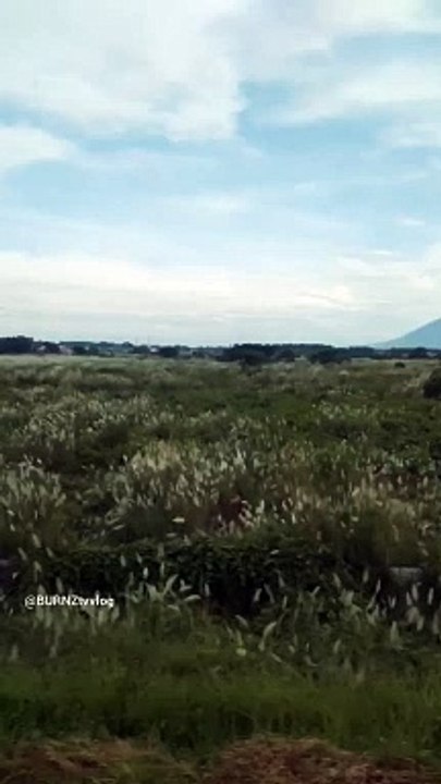 BEAUTIFUL LANDSCAPE