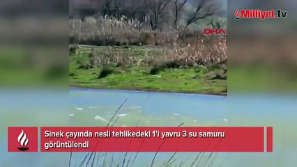 Heyecanlandıran detay! 3'ü yan yana görüntülendi