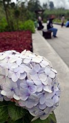 WOW AMAZING PEMANDANGAN KAWAH SIKIDANG