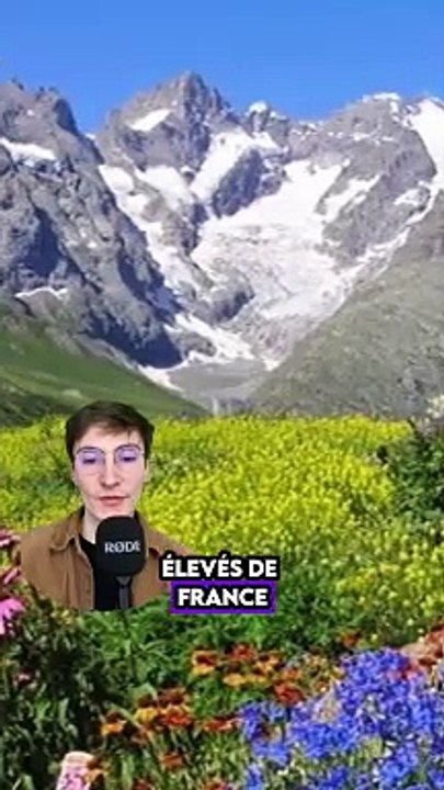 Tous les départements de France : Les Hautes-Alpes