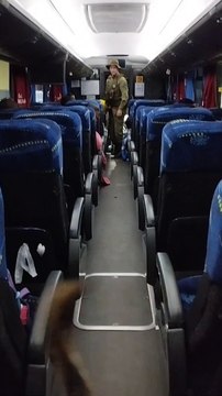 BPFron prende jovem com haxixe durante abordagem a ônibus na PR-323
