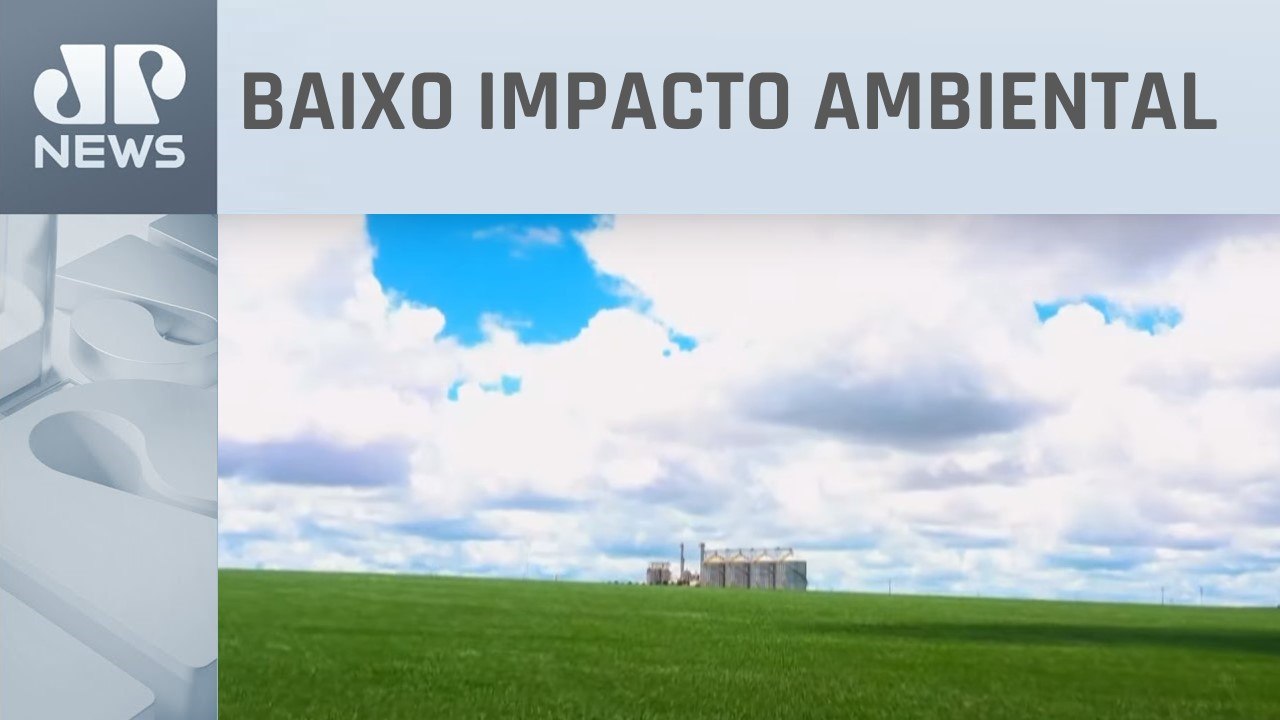 Uso de biodefensivos eleva produção, reduz custos e são aposta de produtores rurais