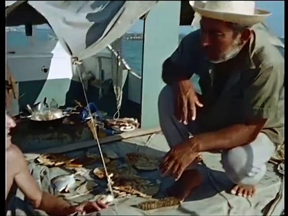 El Mundo Submarino De Jacques Cousteau - El Pez Que Se Tragó A Jonás