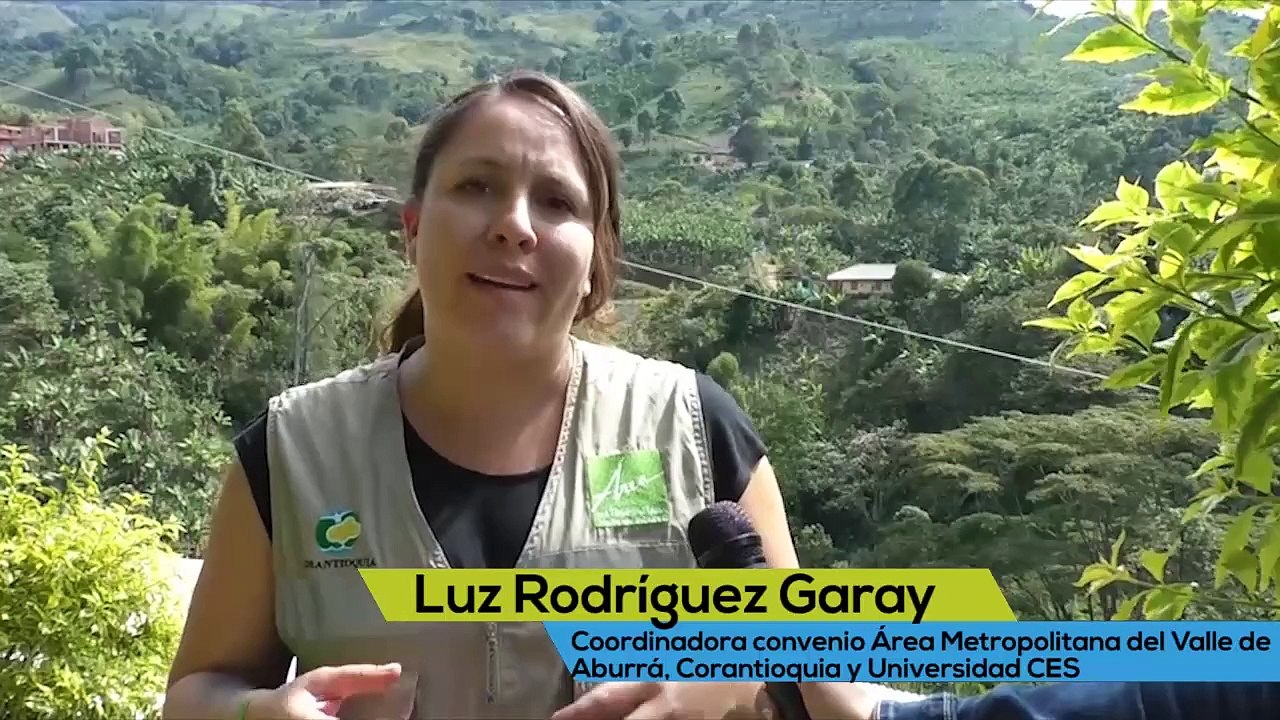 olinguito con logos