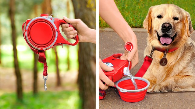Spring Pet Care Essentials Gadgets & Hacks To Spoil Your Fur Babies!