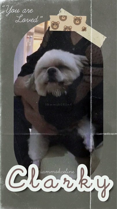Clarky 