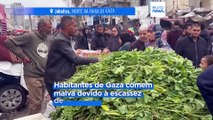 Aumenta a escassez de alimentos em Gaza