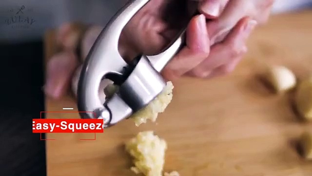 Garlic Press Set - Rust Proof & Dishwasher Safe Professional Garlic Mincer Tool