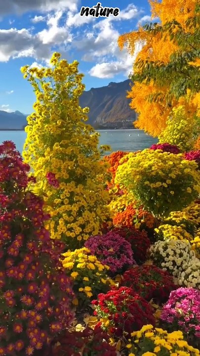 Nature
