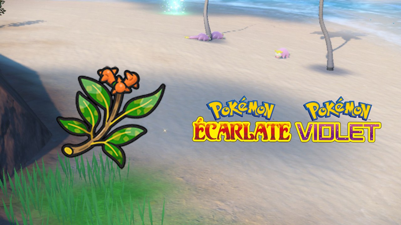 Branche Galanoa Pokémon Écarlate et Violet : Où la trouver et à quoi sert-elle ?