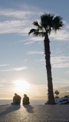 pexels-matthias-groeneveld-19923806 (1080p)