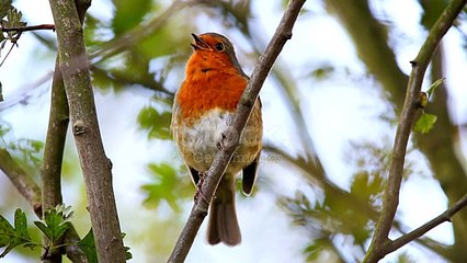 ما أجمل الحياة في أحضان الطبيعة