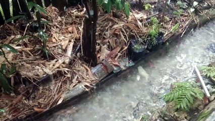 Water as the Source of Life 32