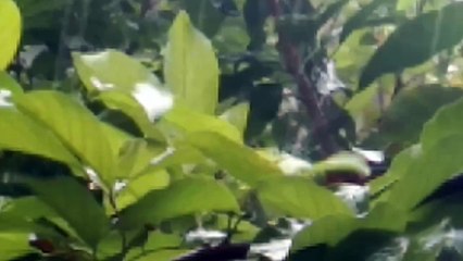 Water as the Source of Life 33