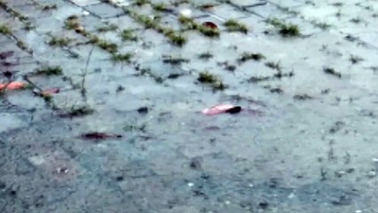 Water as the Source of Life 35