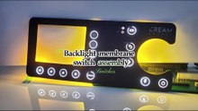 Backlight membrane switch assembly