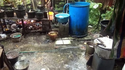 Water as the Source of Life 37