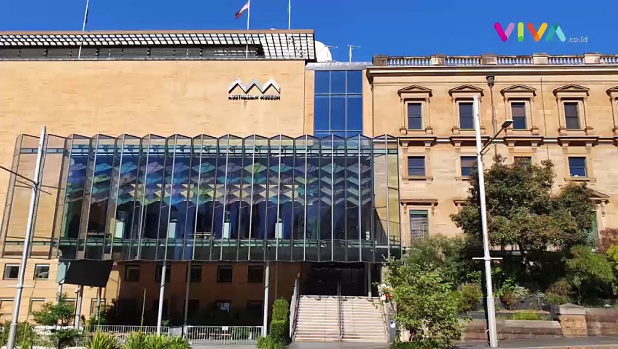 Wanita Selamatkan Kucing dari Lilitan Ular Pakai Alat Dapur