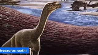 Uncovering Africa's Oldest Dinosaur_ The Empirosaurus Rathi
