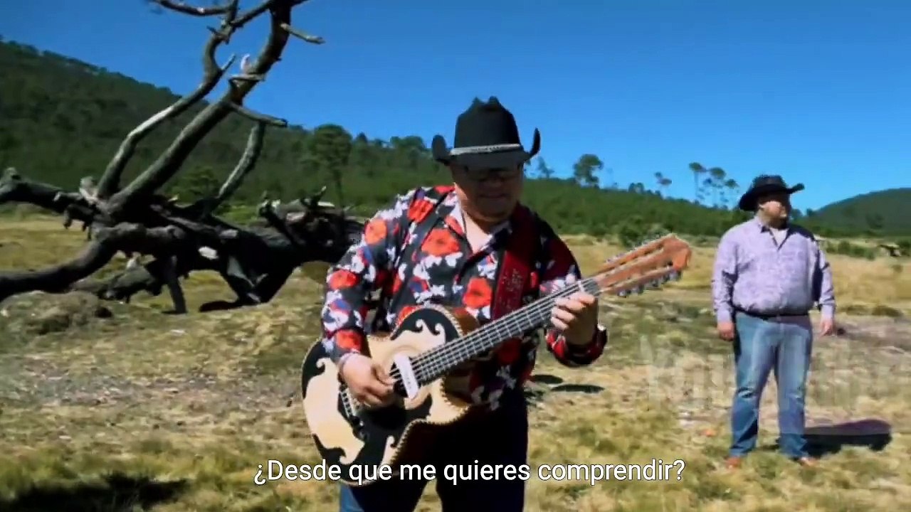 Lo tienes Todo __cover2024__#norteñas #lomasviral #lomasnuevo #lomasvisto #Imprezzindiblenorte