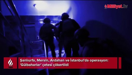 Şanlıurfa, Mersin, Ardahan ve İstanbul'da operasyon! 'Gülbaharlar' çetesi çökertildi