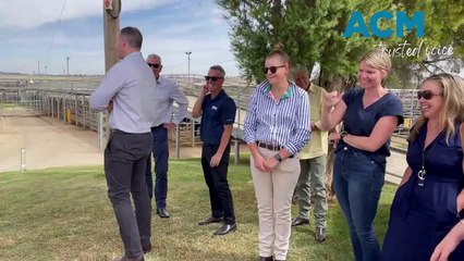 'Bingo' goes under the hammer for $12,500 funding school bus.