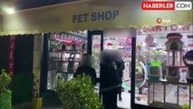 Pet shopta düzensiz göçmen operasyonu