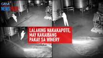 Lalaking naka-kapote, may kakaibang pakay sa winery | GMA Integrated Newsfeed