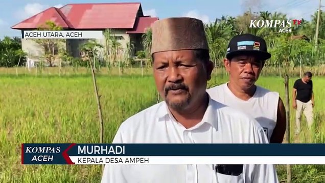 Puluhan Hektar Sawah Kekeringan Petani Merugi