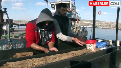 Şanlıurfa'dan ülke ekonomisine 100 milyon dolar destek