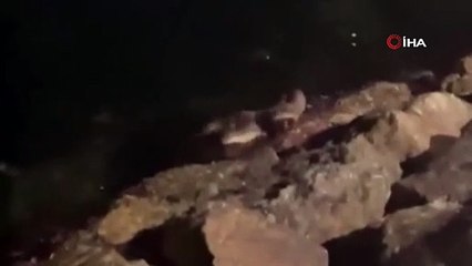 Bursa'da gece vakti görüldü!