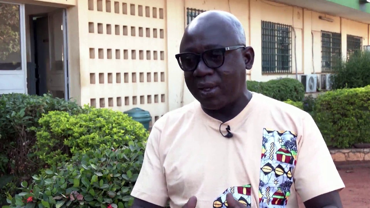 West Africa counts on chemicals to save cotton from new pest