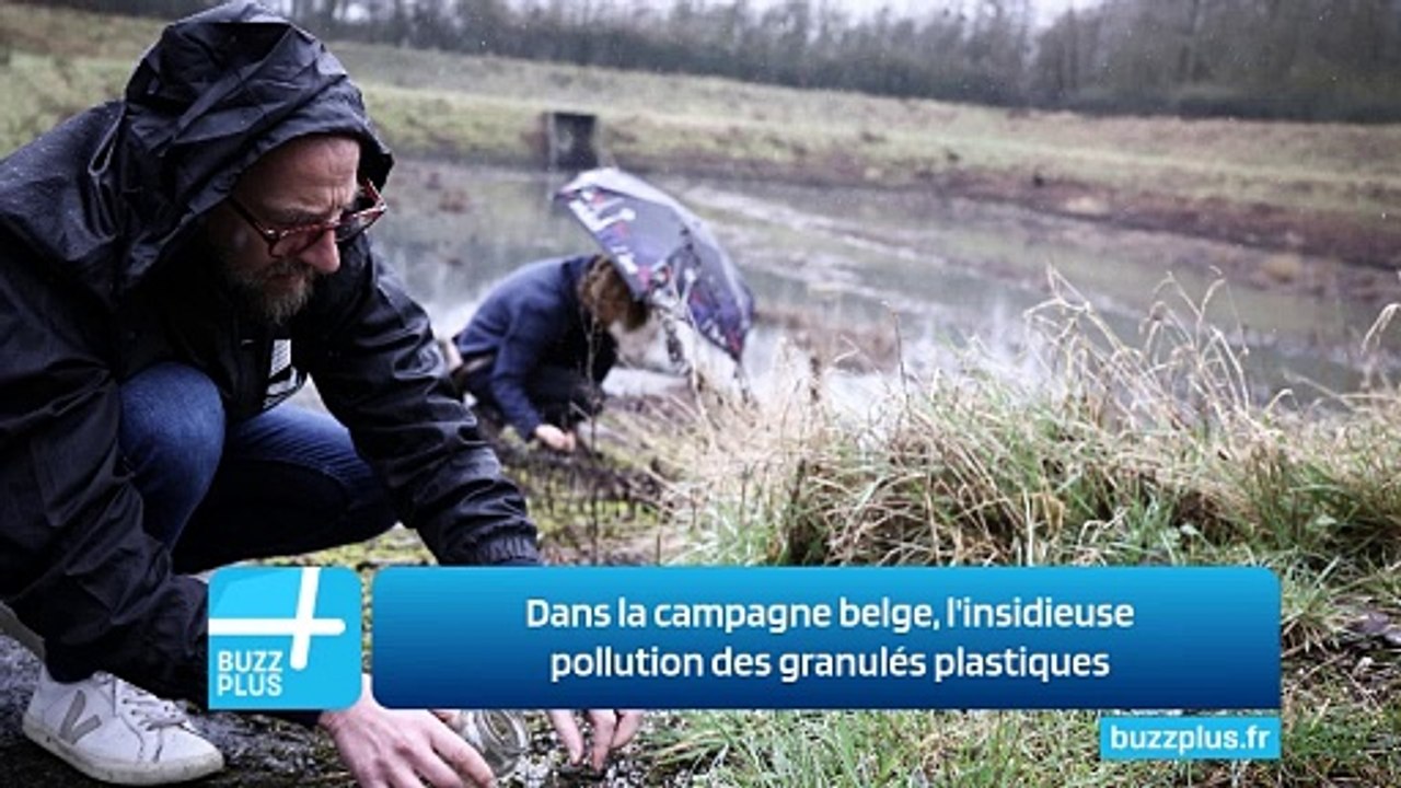 Dans la campagne belge, l'insidieuse pollution des granulés plastiques