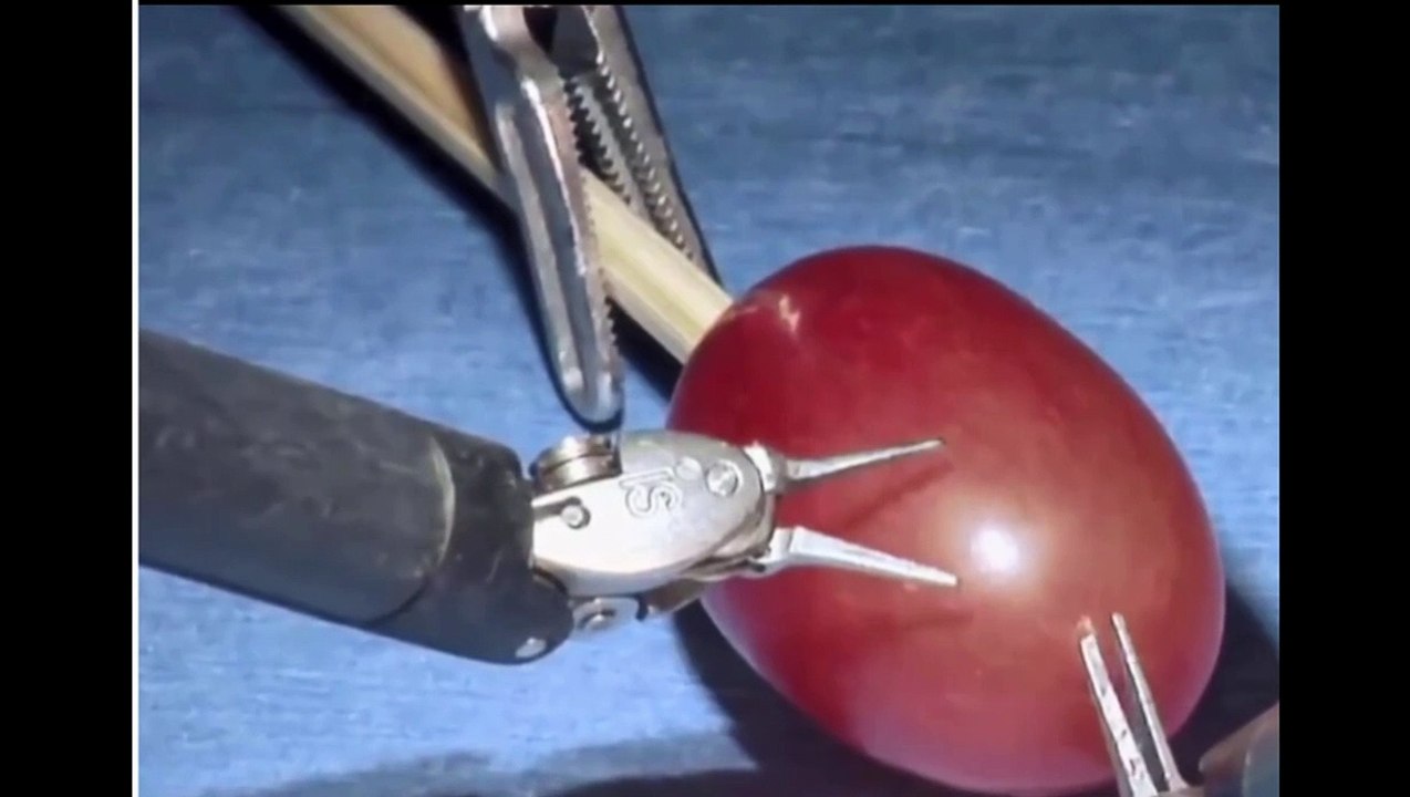 Application of stepper motors in the field of robotics - oyostepper.com