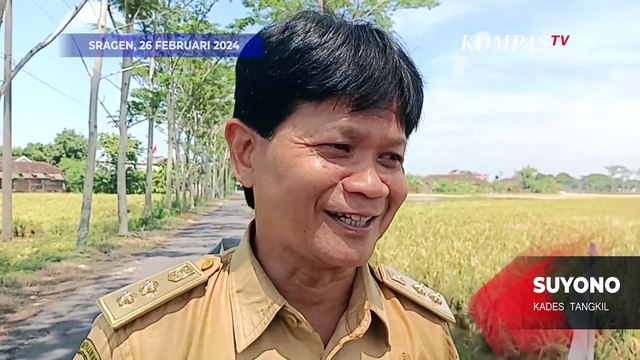 Sragen Direndam Banjir, Petani Terancam Merugi karena Sawahnya Tenggelam