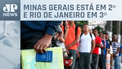 SP tem maior índice de empregados com carteira assinada