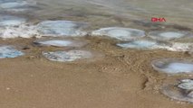 Yumurtalık Lagünü sahiline binlerce denizanası vurdu