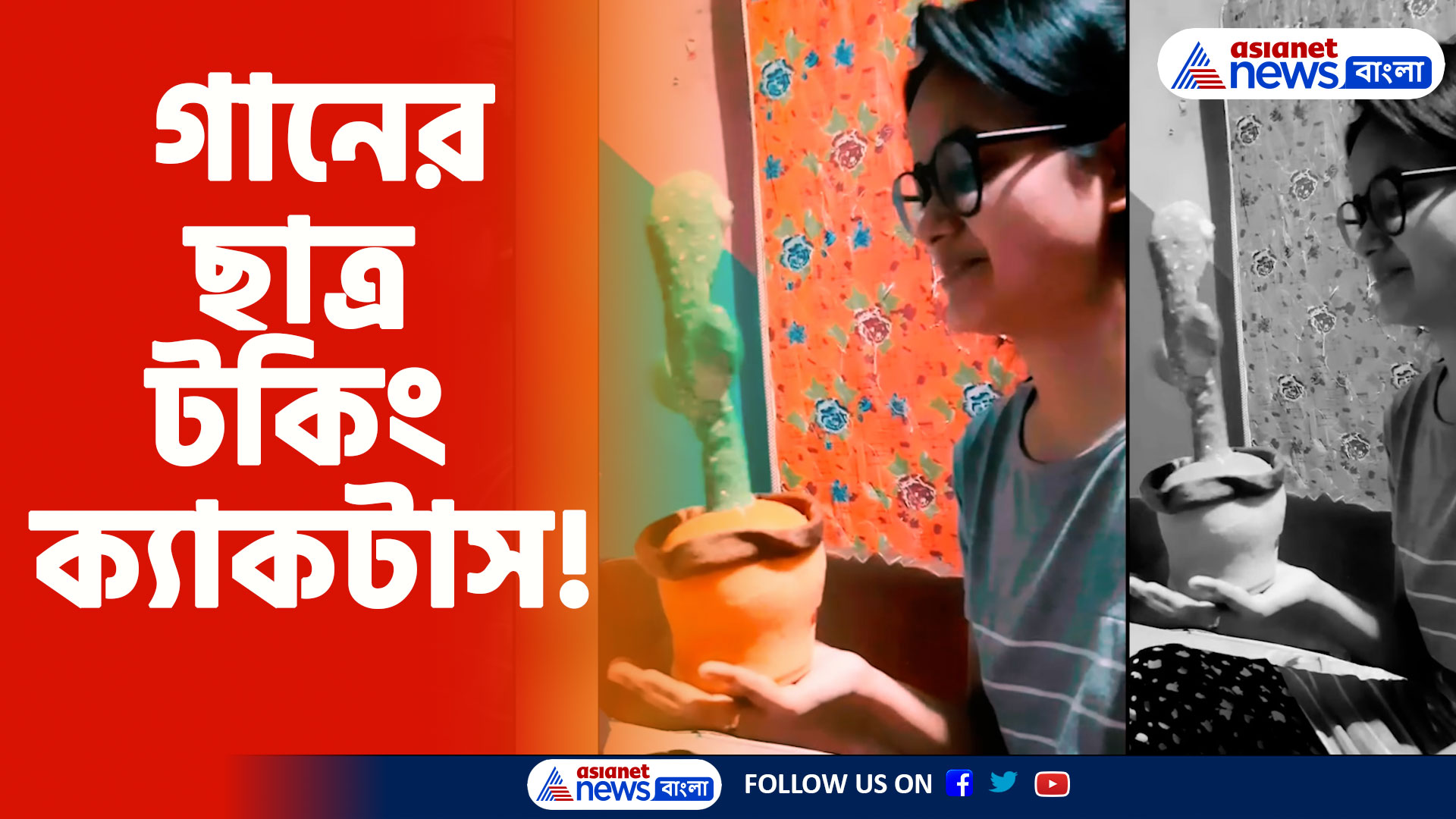 Viral Video: গানের ছাত্র টকিং ক্যাকটাস! তোতাপাখির মতো শিখছে সরগম, দেখুন মজার ভিডিও